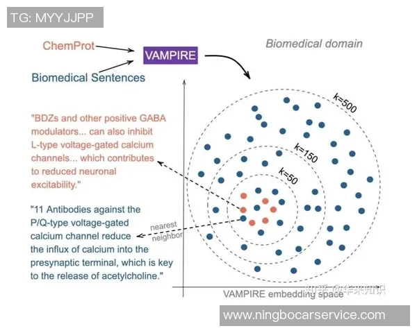 武汉排球队力量表现数据分析揭示运动员潜力与训练效果的深度关系